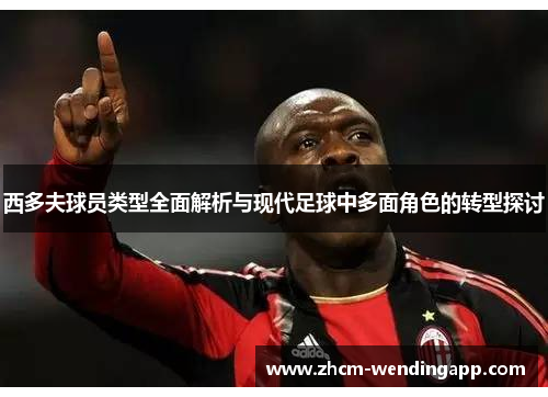 西多夫球员类型全面解析与现代足球中多面角色的转型探讨
