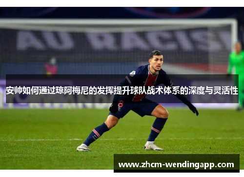 安帅如何通过琼阿梅尼的发挥提升球队战术体系的深度与灵活性